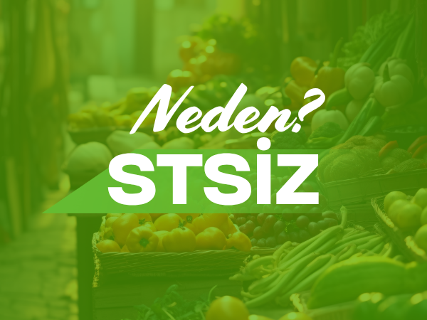 Neden Stsiz?
